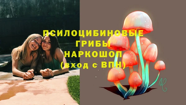 ПСИЛОЦИБИНОВЫЕ ГРИБЫ Горнозаводск