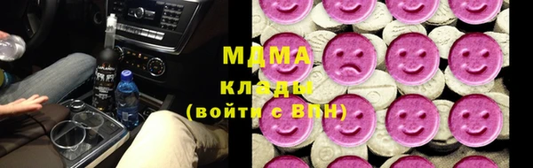 шишки Горняк