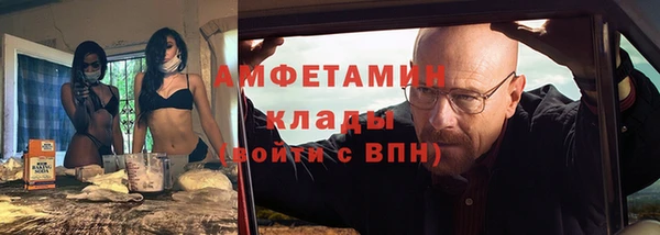 шишки Горняк