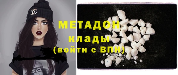 шишки Горняк