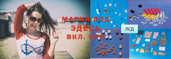 шишки Горняк