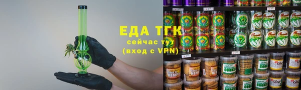 шишки Горняк