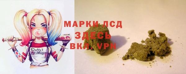 шишки Горняк