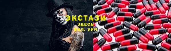 шишки Горняк