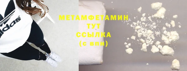 шишки Горняк