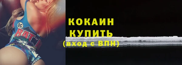 шишки Горняк