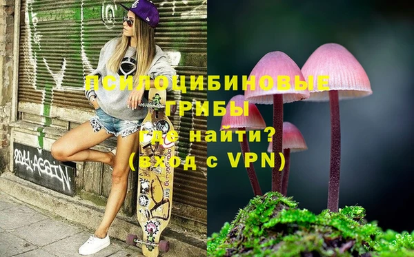 шишки Горняк