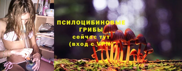 шишки Горняк