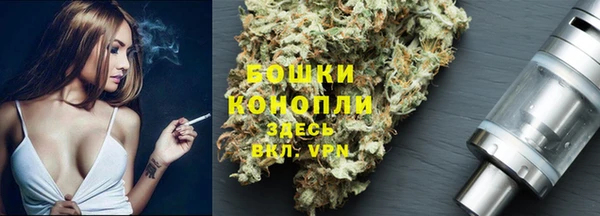 ПСИЛОЦИБИНОВЫЕ ГРИБЫ Горнозаводск