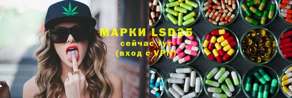 ПСИЛОЦИБИНОВЫЕ ГРИБЫ Горнозаводск
