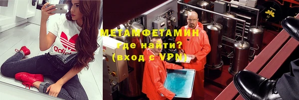шишки Горняк